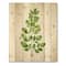 Designart - Moringa Branch Tropical Tree Foliage - Farmhouse Print on Natural Pine Wood